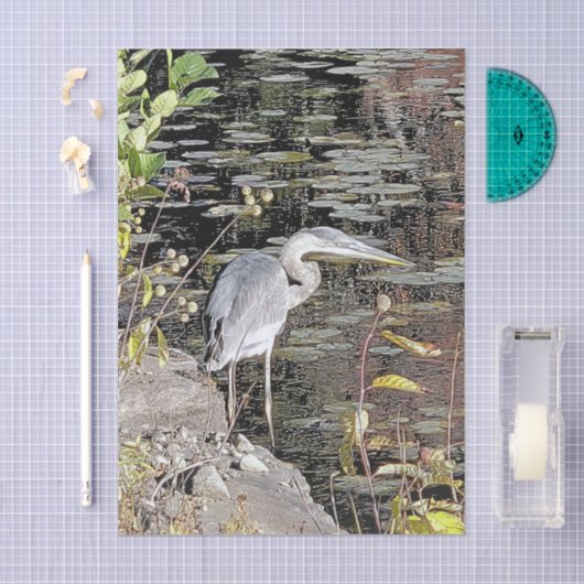 Great Blue Heron Stretched Canvas Print Tissuepapier (Craft)
