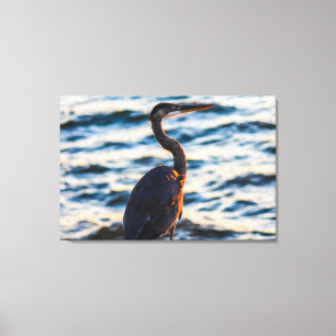 Great Blue Heron Sunset Vibe Canvas Afdruk