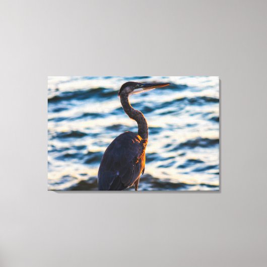 Great Blue Heron Sunset Vibe Canvas Afdruk (Voorkant)