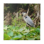 Great Blue Heron Tegeltje (Voorkant)