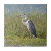 Great Blue Heron Tegeltje (Voorkant)