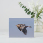 Great Blue Heron tijdens de vlucht Briefkaart (Staand voorkant)