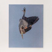 Great Blue Heron tijdens de vlucht Legpuzzel (Verticaal)