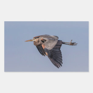 Great Blue Heron tijdens de vlucht Rechthoekige Sticker