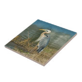 Great Blue Heron Tile Tegeltje (Zijkant)