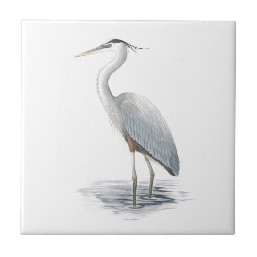 Great Blue Heron Tile Tegeltje (Voorkant)