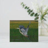 Great Blue Heron "tilt uit" Briefkaart (Staand voorkant)
