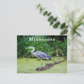 Great Blue Heron Turtles Green Lake Briefkaart (Staand voorkant)