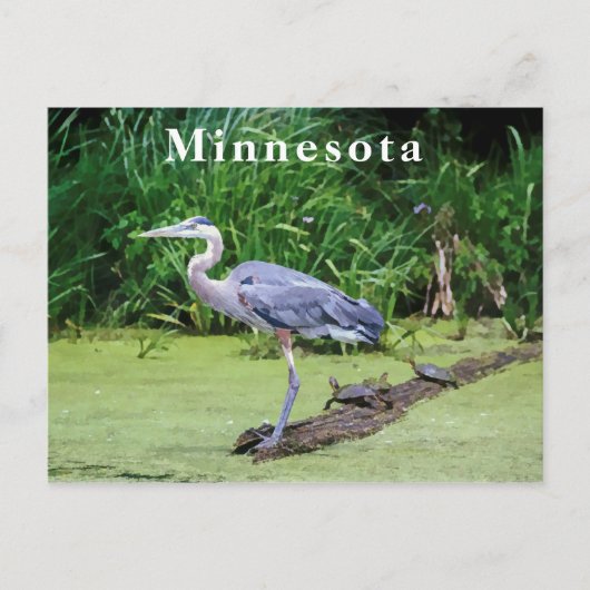 Great Blue Heron Turtles Green Lake Briefkaart (Voorkant)