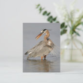Great Blue Heron Twisting Briefkaart (Staand voorkant)