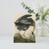 Great Blue Heron uit Audubon's Birds of America Briefkaart (Staand voorkant)