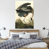 Great Blue Heron uit Audubon's Birds of America Canvas Afdruk (Insitu (Slaapkamer))