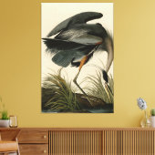 Great Blue Heron uit Audubon's Birds of America Canvas Afdruk (Insitu (Woonkamer))