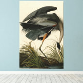 Great Blue Heron uit Audubon's Birds of America Canvas Afdruk (Insitu (Houten vloer))