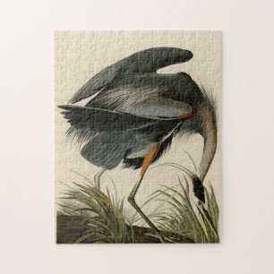 Great Blue Heron uit Audubon's Birds of America Legpuzzel