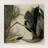 Great Blue Heron uit Audubon's Birds of America Legpuzzel (Horizontaal)