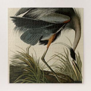 Great Blue Heron uit Audubon's Birds of America Legpuzzel