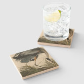 Great Blue Heron uit Audubon's Birds of America Stenen Onderzetter (Zijkant)
