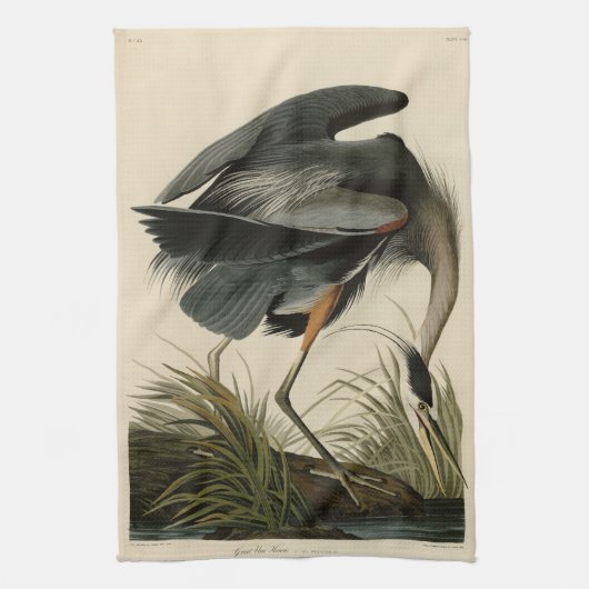 Great Blue Heron uit Audubon's Birds of America Theedoek (Verticaal)
