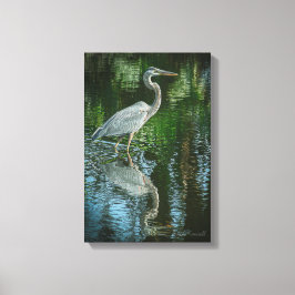 "Great Blue Heron" Uitgerekt Canvas Print