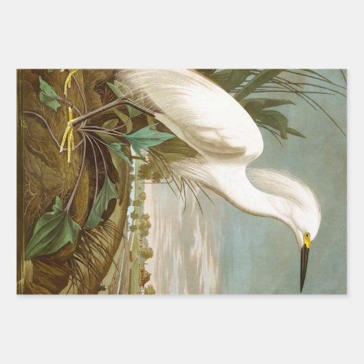Great Blue Heron van John James Audubon Decpupage Inpakpapier Vel (Voorkant 3)
