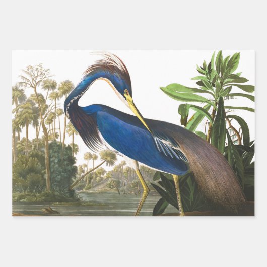 Great Blue Heron van John James Audubon Decpupage Inpakpapier Vel (Voorkant 2)