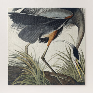 Great Blue Heron van vogels uit Amerika Legpuzzel