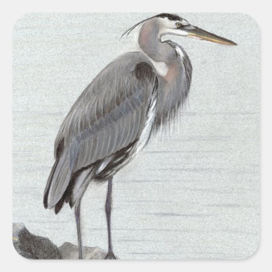 Great Blue Heron Vierkante Sticker (Voorkant)