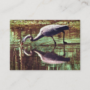 Great Blue Heron Vissen ATC Visitekaartje