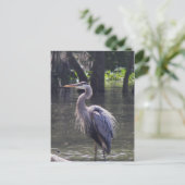 Great Blue Heron Vist voor Lunch Briefkaart (Staand voorkant)