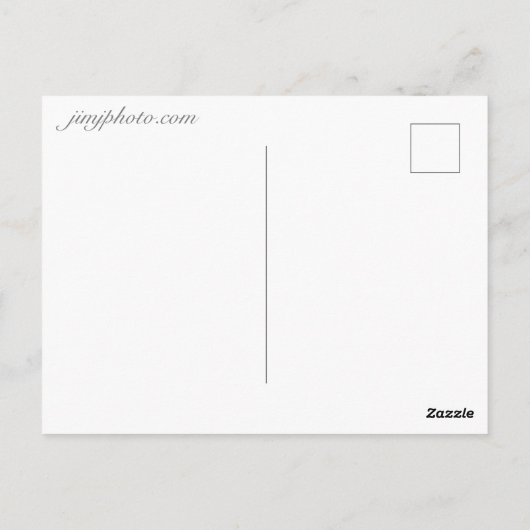 Great Blue Heron vliegt op de Tennessee-rivier Briefkaart (Achterkant)