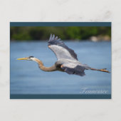 Great Blue Heron vliegt op de Tennessee-rivier Briefkaart (Voorkant)