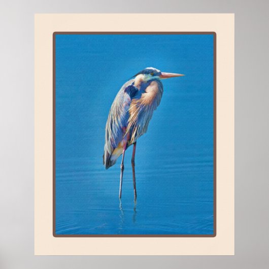 Great Blue Heron Wading at the Pond Poster (Voorkant)