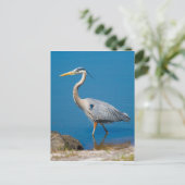 Great Blue Heron Wading Briefkaart (Staand voorkant)