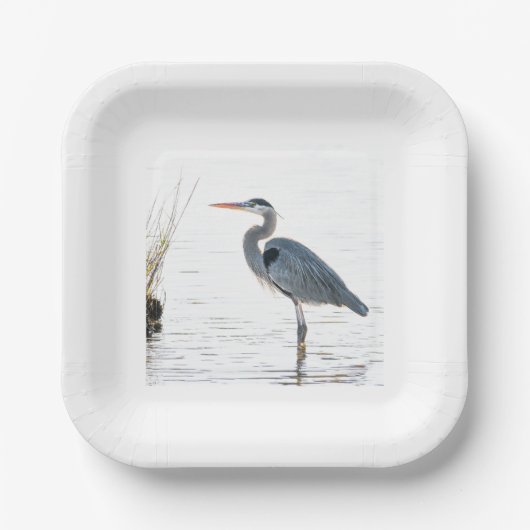 Great Blue Heron - wading Papieren Bordje (Voorkant)