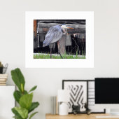 Great Blue Heron Waiting Poster (Thuiskantoor)