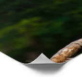 Great Blue Heron Wall Art Poster (Hoek)