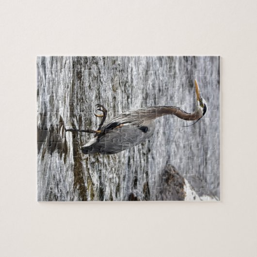 Great Blue Heron Wildlife Birdlover Foto Legpuzzel (Horizontaal)