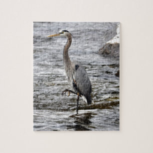 Great Blue Heron Wildlife Birdlover Foto Legpuzzel