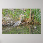 Great Blue Heron Woodland Poster (Voorkant)