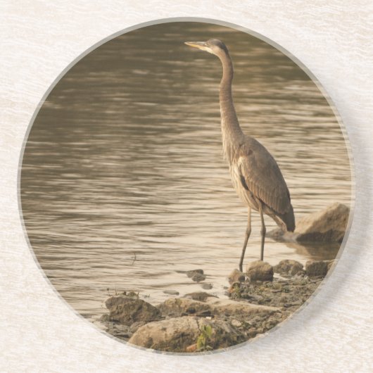 Great Blue Heron Zandsteen Onderzetter (Voorkant)