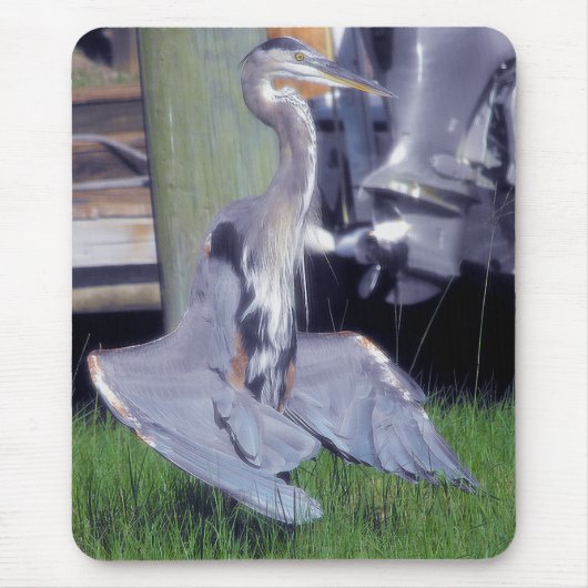 Great Blue Heron-zonnebaden Muismat (Voorkant)