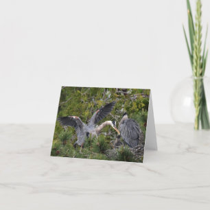 Great Blue Herons en hun Baby Kaart