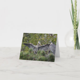 Great Blue Herons en hun baby's Kaart