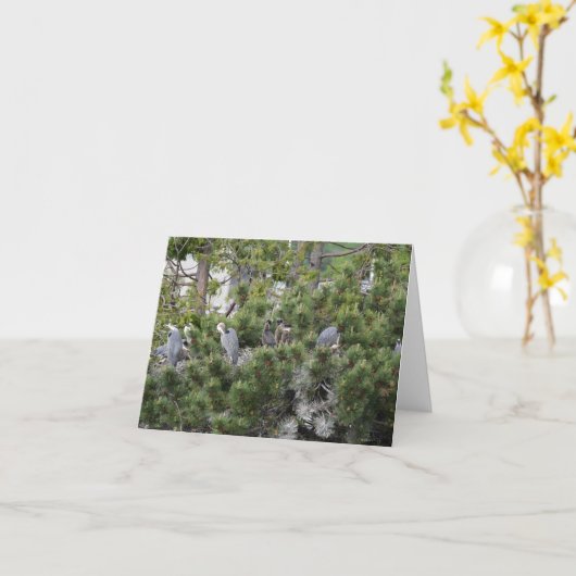 Great Blue Herons Nesting Kaart (Gele Bloem)