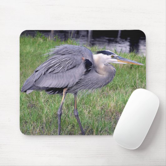Great Blue Heron's Territory Muismat (Met muis)