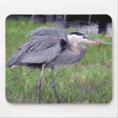 Great Blue Heron's Territory Muismat (Voorkant)