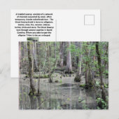 Great Braided Swamp Briefkaart (Voorkant / Achterkant)