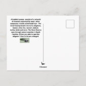 Great Braided Swamp Briefkaart (Achterkant)