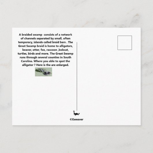 Great Braided Swamp Briefkaart (Achterkant)